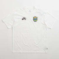 Nike SB Agnostic T-Shirt in White thumbnail