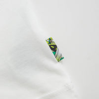 Nike SB Agnostic T-Shirt in White thumbnail