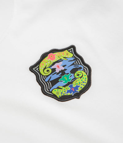 Nike SB Agnostic T-Shirt in White