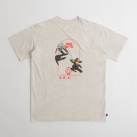 Nike SB Court T-Shirt - Light Bone thumbnail