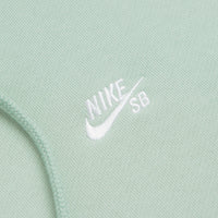 Nike SB Essential Logo Full Zip Hoodie in Pistachio Frost and White thumbnail