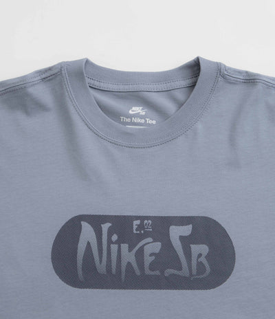 Nike SB Graphic Long Sleeve T-Shirt in Ashen Slate