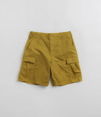 Nike SB Kearny Cargo Shorts in Bronzine