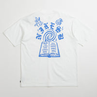 Nike SB Skate Spots T-Shirt in White thumbnail