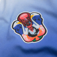Nike SB Team USA Long Sleeve T-Shirt in White thumbnail