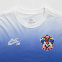 Nike SB Team USA Long Sleeve T-Shirt in White thumbnail