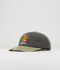 Obey Fruits Cap in Black Multi