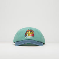 Obey Fruits Cap in Pigment Sea Spray Multi thumbnail