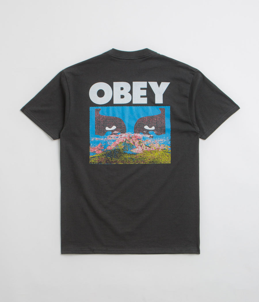 Obey In A Different Place T-Shirt in Vintage Black