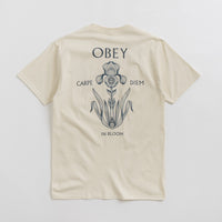 Obey Iris In Bloom T-Shirt in Cream thumbnail