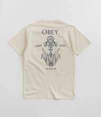 Obey Iris In Bloom T-Shirt in Cream