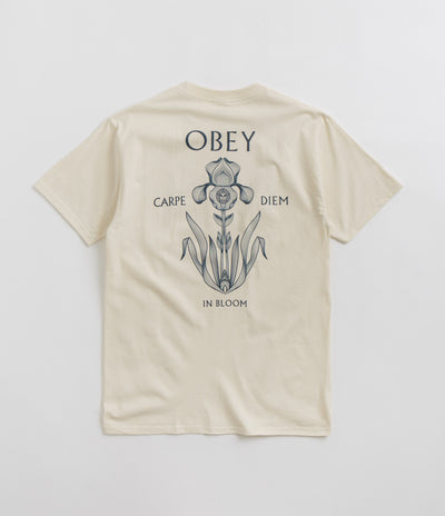 Obey Iris In Bloom T-Shirt in Cream