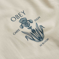 Obey Iris In Bloom T-Shirt in Cream thumbnail