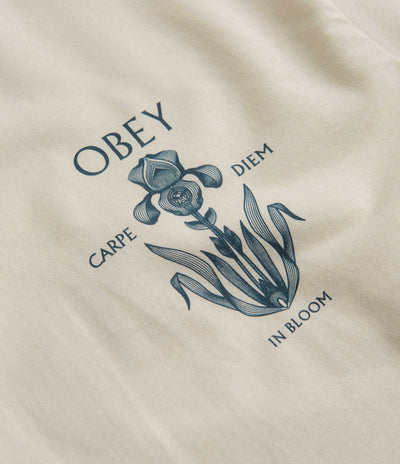 Obey Iris In Bloom T-Shirt in Cream