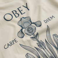 Obey Iris In Bloom T-Shirt in Cream thumbnail