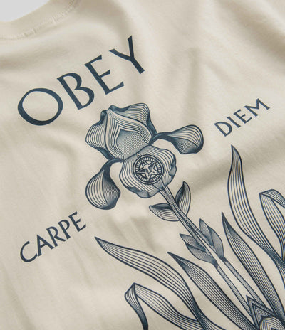 Obey Iris In Bloom T-Shirt in Cream