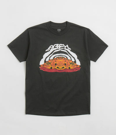 Obey Take The Leap T-Shirt in Vintage Black