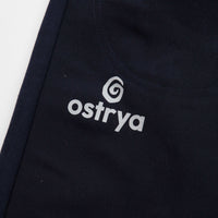 Ostrya Hardy Canvas Pants in Navy thumbnail