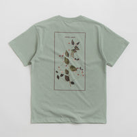 Pass Port Lantana T-Shirt in Stonewash Green thumbnail