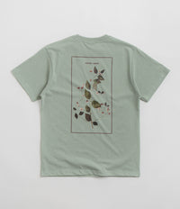 Pass Port Lantana T-Shirt in Stonewash Green