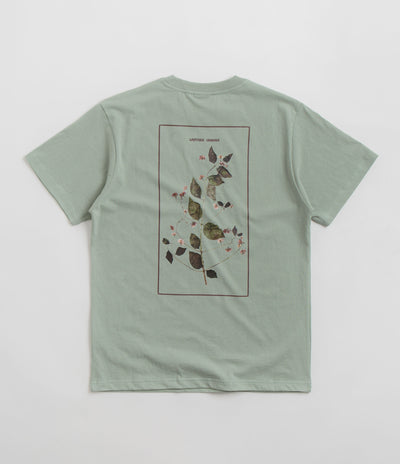 Pass Port Lantana T-Shirt in Stonewash Green