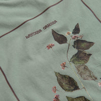 Pass Port Lantana T-Shirt in Stonewash Green thumbnail