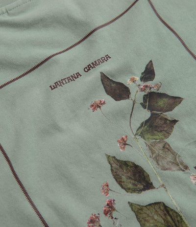 Pass Port Lantana T-Shirt in Stonewash Green