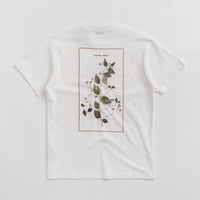 Pass Port Lantana T-Shirt in White thumbnail