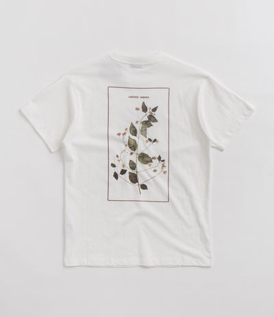 Pass Port Lantana T-Shirt in White