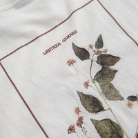 Pass Port Lantana T-Shirt in White thumbnail