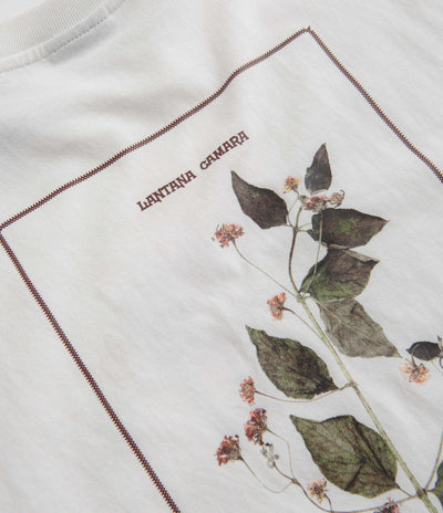 Pass Port Lantana T-Shirt in White