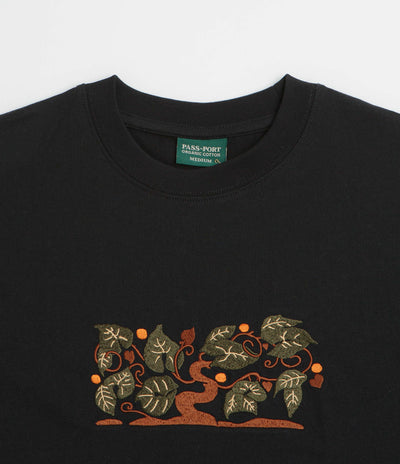 Pass Port Orchard Organic T-Shirt in Black