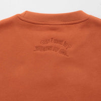 Pasteelo Can Embroidered Script Crewneck Sweatshirt - Rust thumbnail