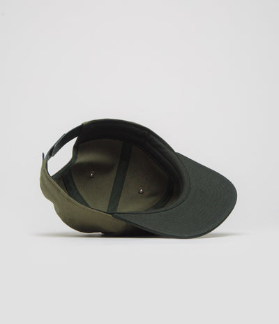 Patagonia Boardshort Label Funfarer Cap in Basin Green
