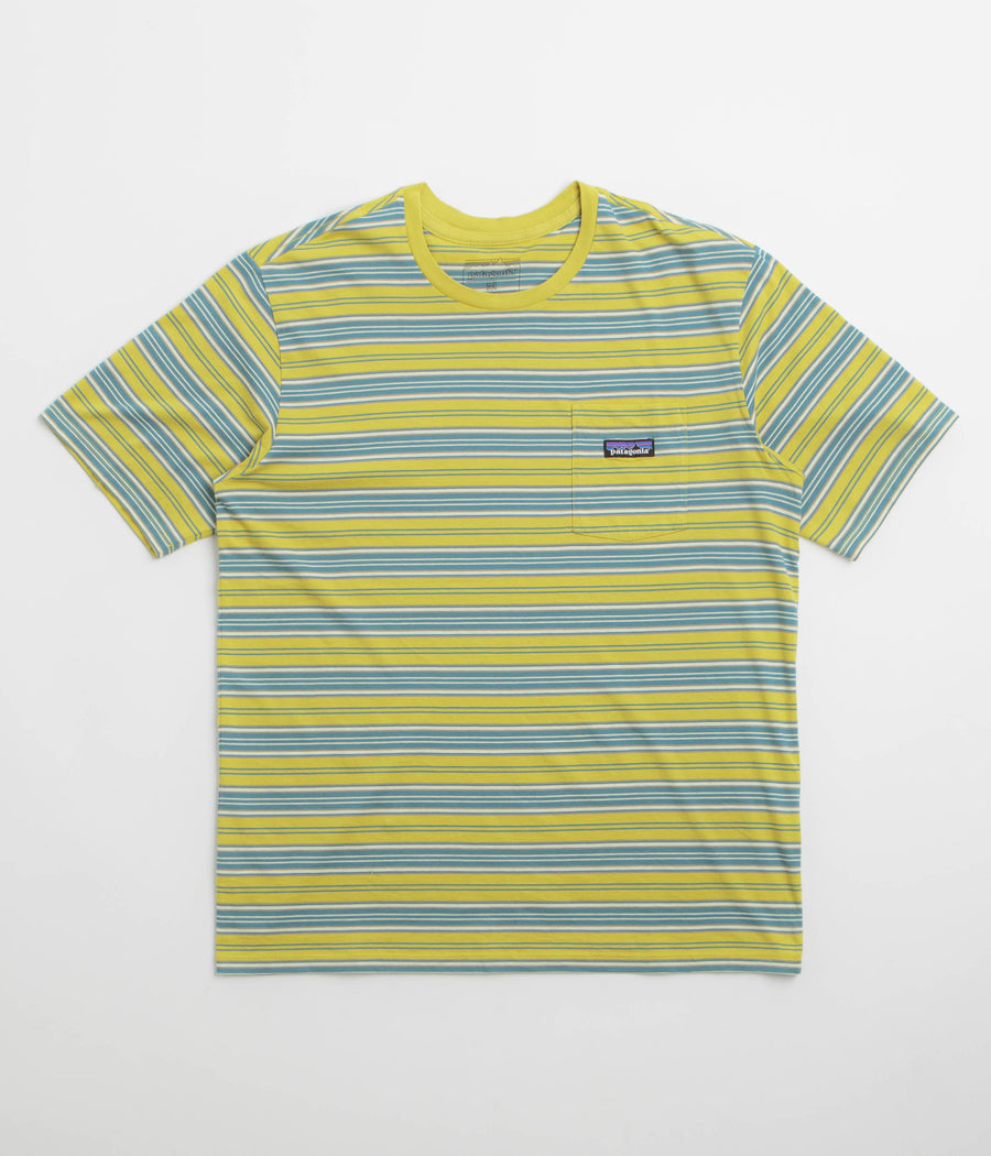 Patagonia Daily Pocket T-Shirt in Summer Camp: Bundle Green