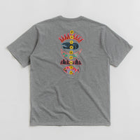 Patagonia Fitz Roy Wild Responsibili-Tee T-Shirt - Gravel Heather thumbnail