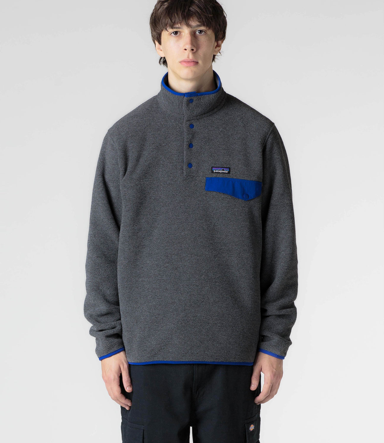 Patagonia 2025 snap t