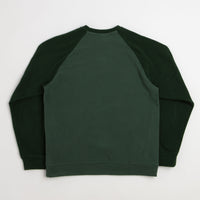 Patagonia Micro D Crewneck Sweatshirt - Canopy Green thumbnail