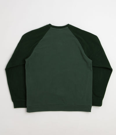Patagonia Micro D Crewneck Sweatshirt - Canopy Green