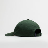 Patagonia P-6 Label Trad Cap - Canopy Green thumbnail