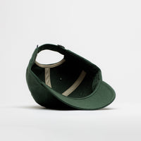 Patagonia P-6 Label Trad Cap - Canopy Green thumbnail