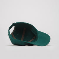Patagonia P-6 Label Trad Cap in Cascade Green thumbnail