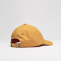 Patagonia P-6 Label Trad Cap - Dried Mango thumbnail