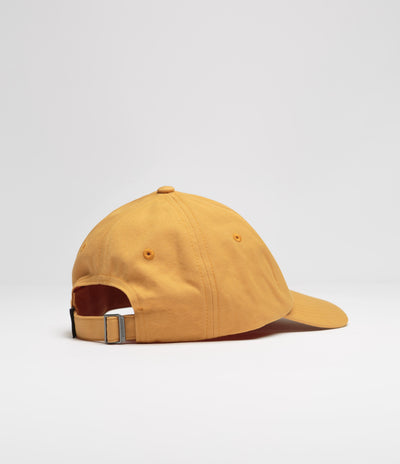 Patagonia P-6 Label Trad Cap - Dried Mango