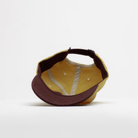 Patagonia P-6 Label Trad Cap - Lynx Tan thumbnail