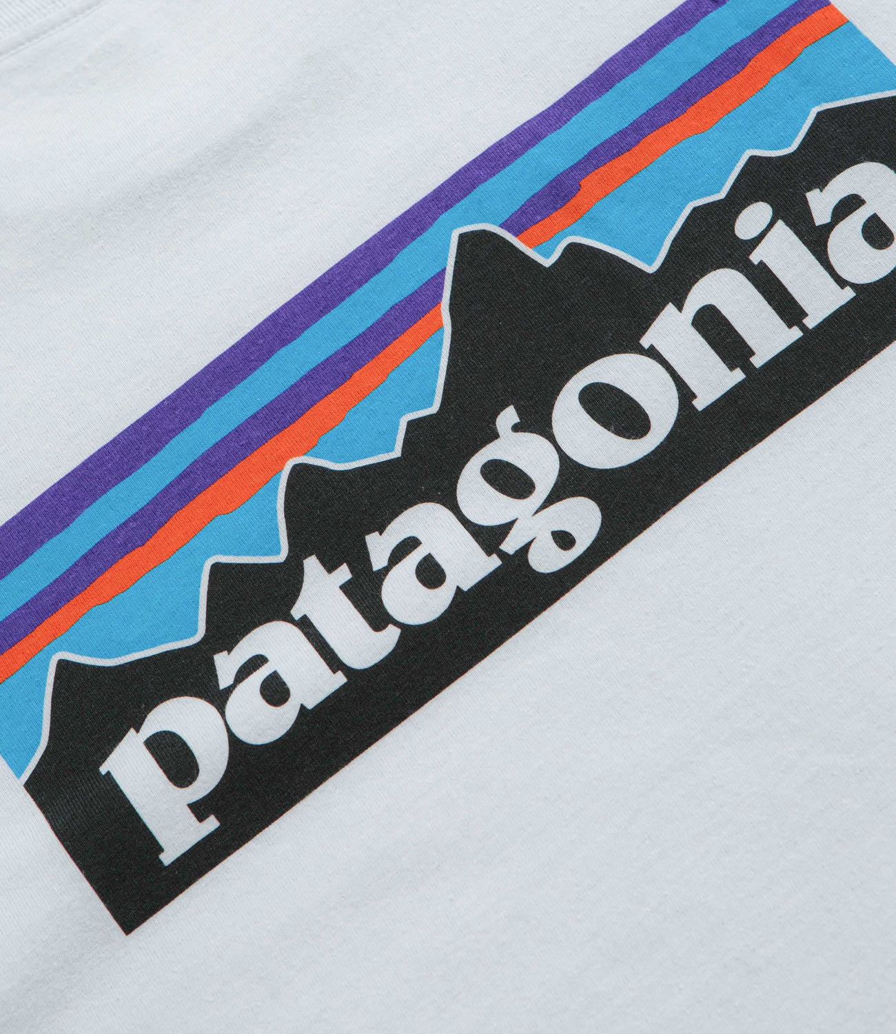 Patagonia t shirt p6 online