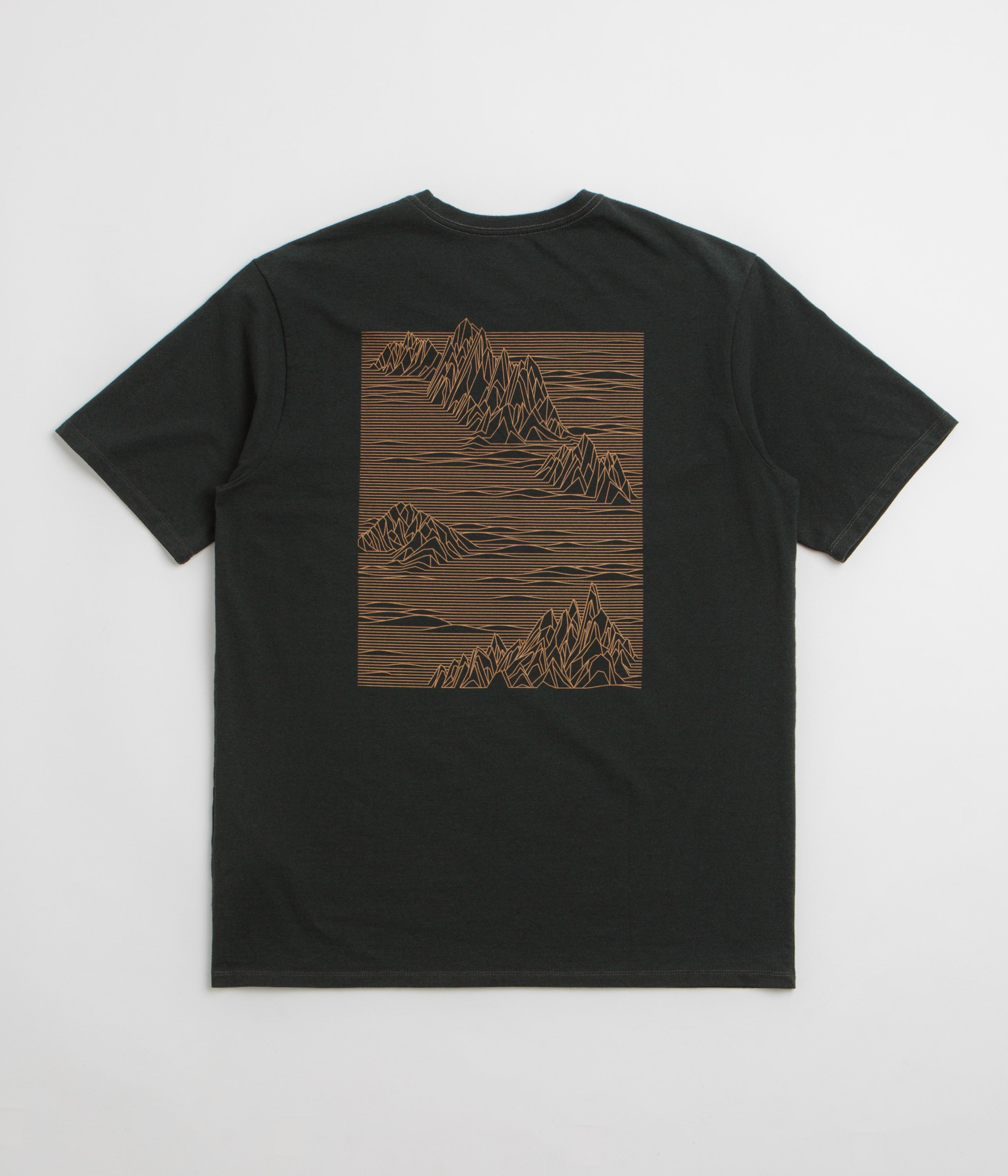 Patagonia Strataspire Responsibili-Tee T-Shirt in Old Growth Green