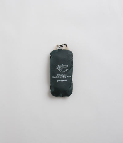 Patagonia Ultralight Black Hole Mini Hip Pack in Nouveau Green