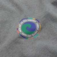Patagonia Unity Fitz Responsibili-Tee T-Shirt in Gravel Heather thumbnail