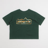 Patagonia Womens Unity Fitz Easy Cut Responsibili-Tee T-Shirt in Cascade Green thumbnail